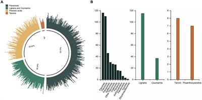 Profiling of phenolic composition in camellia oil and its correlative antioxidant properties analysis